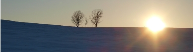 P2247648.JPG